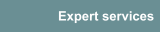 Expert services