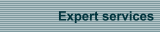 Expert services